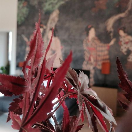 Le Boutique Luxury Rooms Diffused In Historic Center 피우미치노 외부 사진